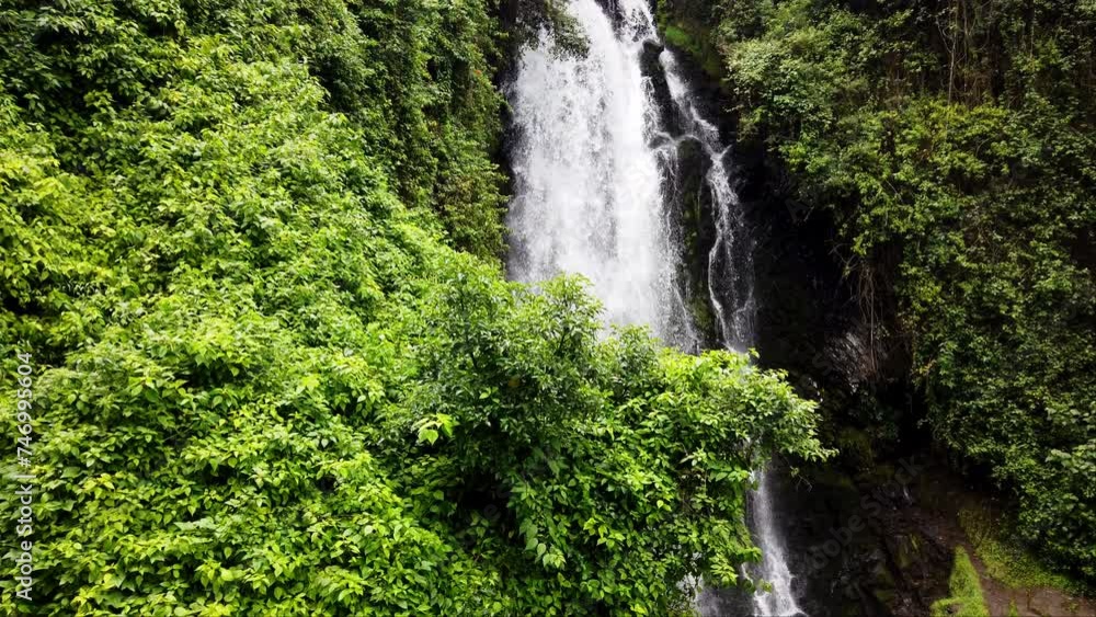 Lush green foliage surrounds a cascading waterfall in Banos, Ecuador Lush green foliage surrounds a cascading waterfall in Banos, Ecuador