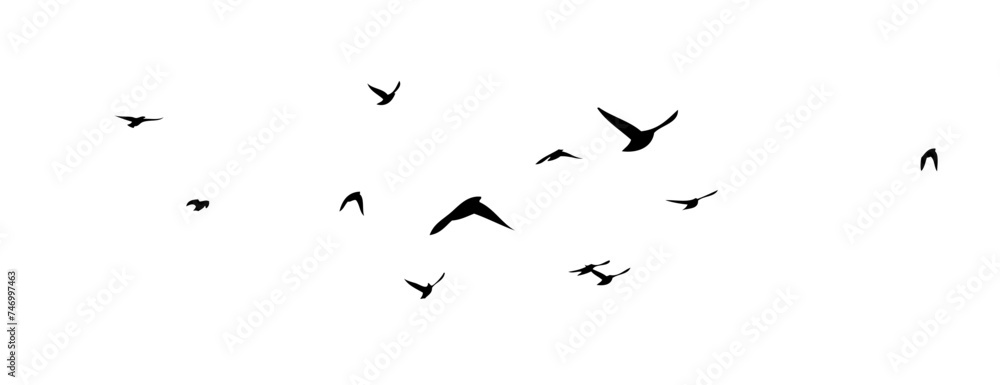 Flying birds silhouette flock. hand drawing. Not AI, Vector illustration Flying birds silhouette flock. hand drawing. Not AI, Vector illustration