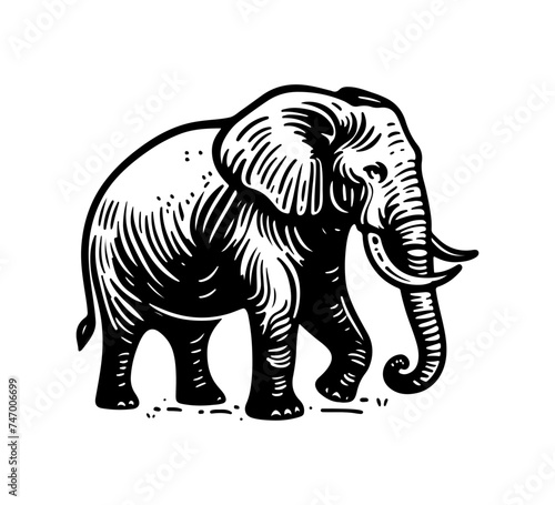 african elephant hand drawn vector illustration © AriaMuhammads