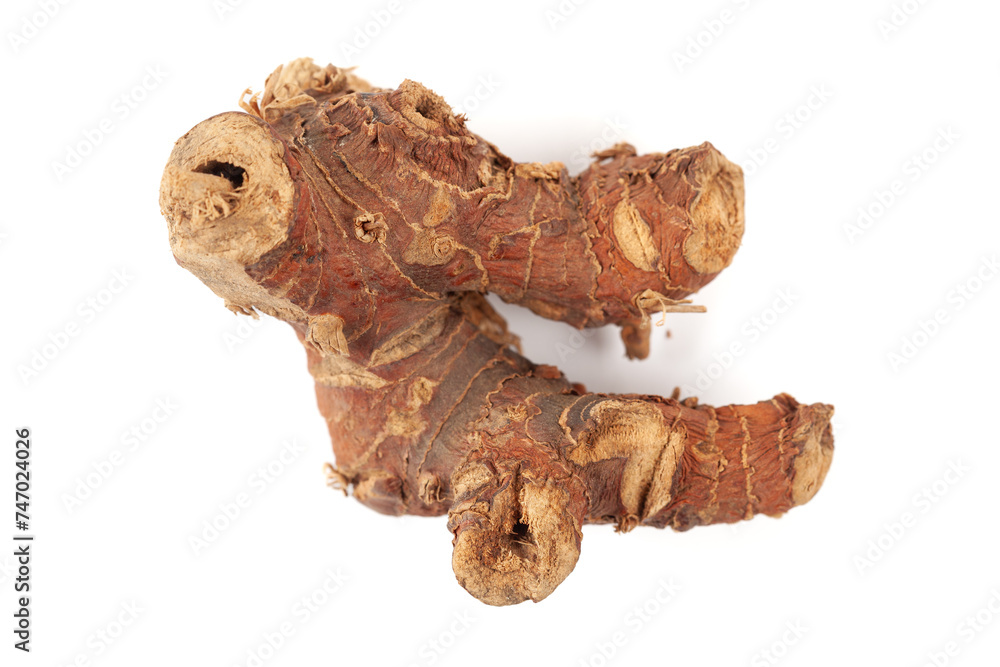 A pile of Dry Organic Kulanjan (Alpinia galanga) roots, isolated on a white background. Top view A pile of Dry Organic Kulanjan (Alpinia galanga) roots, isolated on a white background. Top view