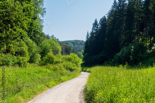 Hiking path, hill panorama and forest with trees near Obertrubach in Franconian Switzerland, Germany