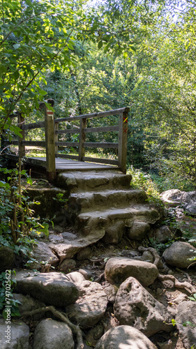 mountain steps going among the trees with bridge over river in forest