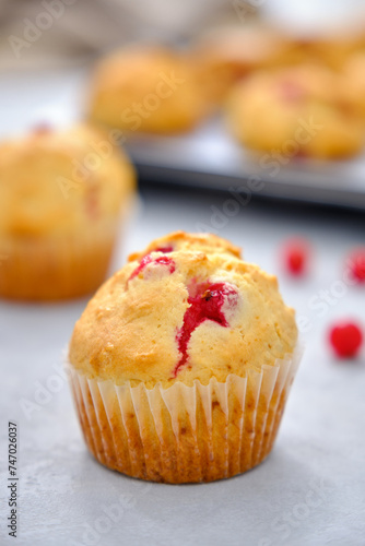 Muffins with red currants in the form for baking
