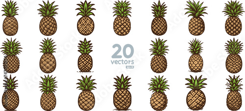 pineapple simple color vector drawing art collection with different drawing style