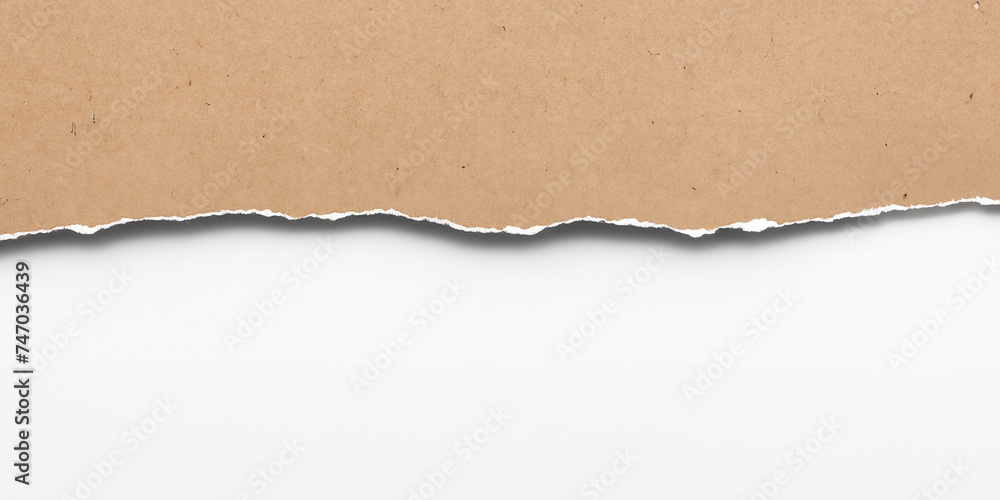 Torn Paper Background