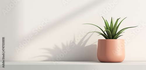 Compact desktop plant pot mockup with a modern design  suitable for small corporate logos and positive affirmations
