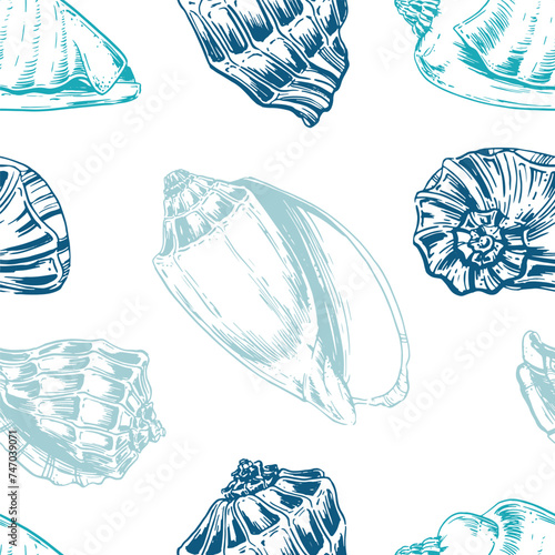 Seamless pattern of various shells. Houses of marine inhabitants. Marine background in outline style. Vector illustration for textile design, background, packaging © XeniaDenisova