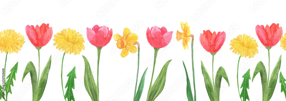 Fototapeta premium Hand painted watercolor seamless border with daffodils and tulips flower isolated