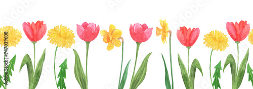 Hand painted watercolor seamless border with daffodils and tulips flower isolated #747039608