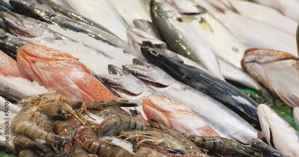 Fresh fish in a large assortment on the counter of a fish market in Istanbul. Close-up Fresh fish in a large assortment on the counter of a fish market in Istanbul. Close-up