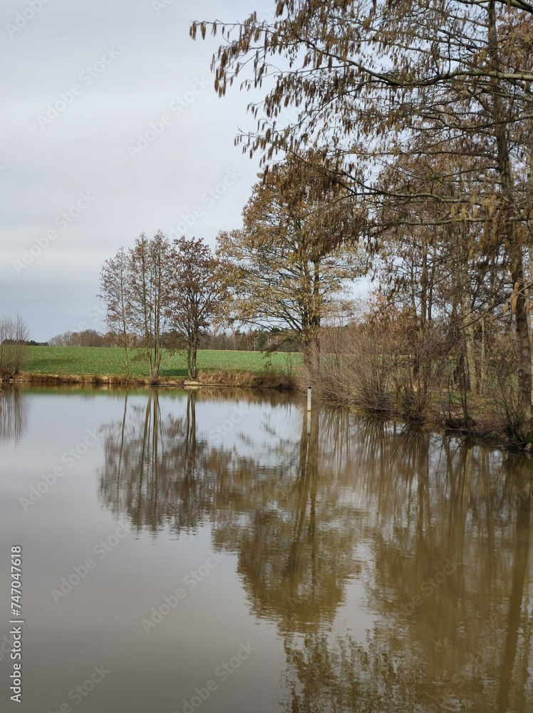 Bäume spiegeln sich im Wasser - Frühjahr Bäume spiegeln sich im Wasser - Frühjahr