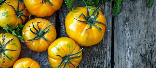 Vibrant Yellow Tomatoes Arranged on a Rustic Wooden Table for Fresh Produce Market Concept