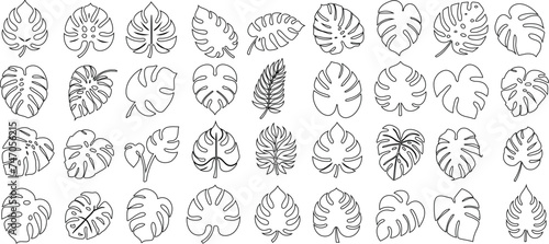 Monstera leaf line art, intricate designs of Monstera leaves, elegant decor, wallpapers, textile prints, nature beauty, detailed artwork of Monstera, tropical hues, visual appeal, artistic value