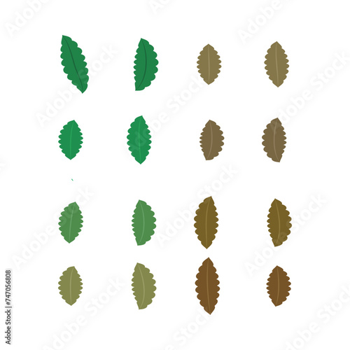 Set of 16 green, brown Leaf simple icon illustration. Cartoon style elements for web or product design.