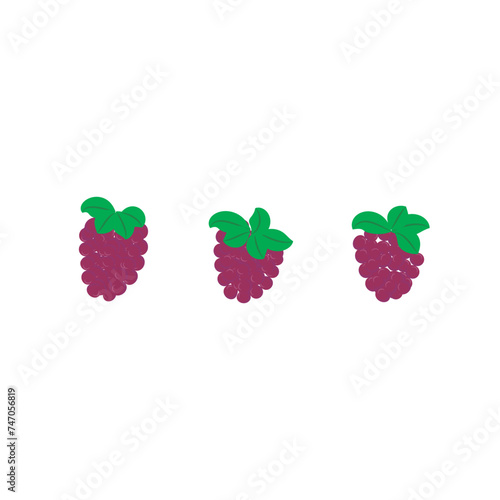 Set of 3 colorful raspberry icons, simple vector cartoon style illustration elements for product or web design.