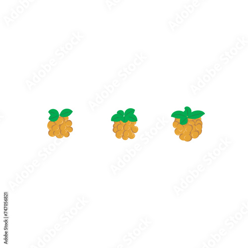 Set of 3 colorful cloudberry  icons, simple vector cartoon style illustration elements for product or web design.
