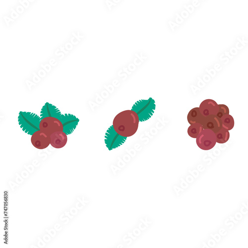 Set of 3 colorful Lingonberry icons, simple vector cartoon style illustration elements for product or web design.