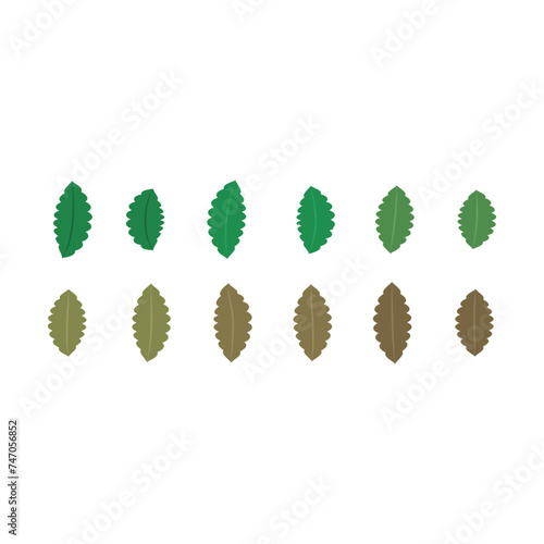 Set of 12 green, brown Leaf simple icon illustration. Cartoon style elements for web or product design.