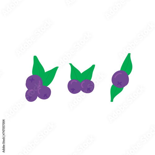 Set of 3 colorful blueberry icons, simple vector cartoon style illustration elements for product or web design.