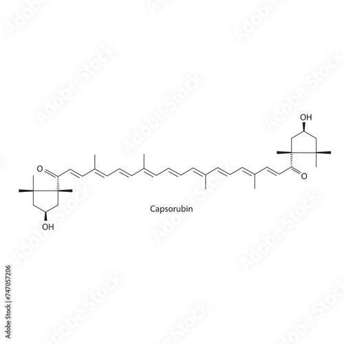 Capsorubin skeletal structure diagram.Caratenoid compound molecule scientific illustration on white background. photo