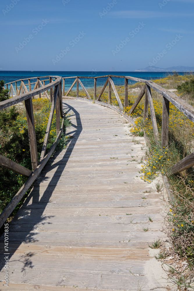 Es Cavall den Borras beachs, Formentera, Pitiusas Islands, Balearic Community, Spain