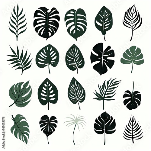 Monstera Leaf Icon Collection, Exotic Leaves Silhouettes, Tropical Plant Symbols, Simple Monstera