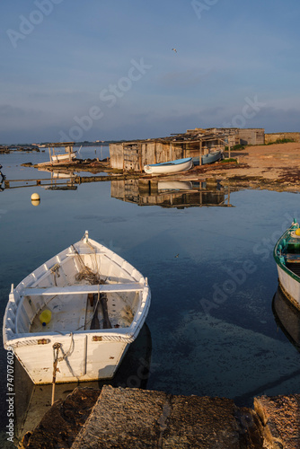 Estany des Peix, Formentera, Pitiusas Islands, Balearic Community, Spain photo