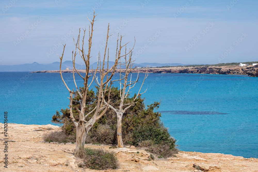 Cala Saona, Formentera, Pitiusas Islands, Balearic Community, Spain Cala Saona, Formentera, Pitiusas Islands, Balearic Community, Spain