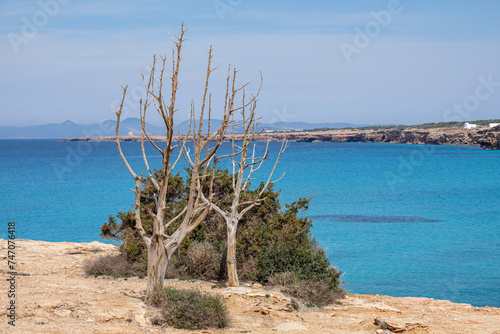 Cala Saona, Formentera, Pitiusas Islands, Balearic Community, Spain