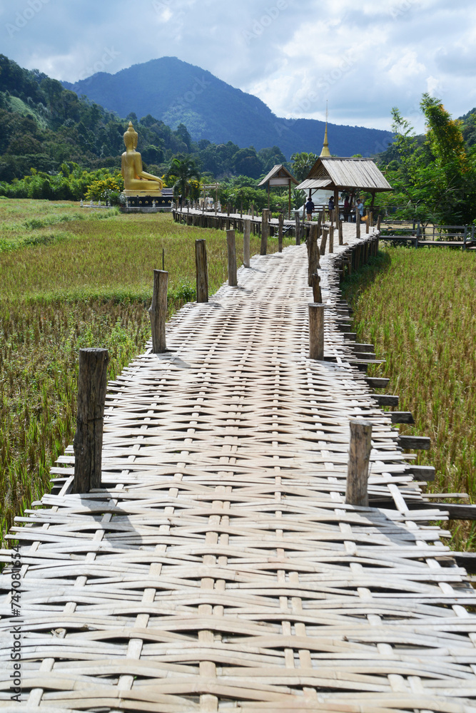 A bamboo bridge to Phra Chao Ton Luang a large outdoor golden Buddha statue. Sitting in the middle of a rice field at Wat Nakhuha there are beautiful natural places. Located at Phrae in Thailaqnd. A bamboo bridge to Phra Chao Ton Luang a large outdoor golden Buddha statue. Sitting in the middle of a rice field at Wat Nakhuha there are beautiful natural places. Located at Phrae in Thailaqnd.