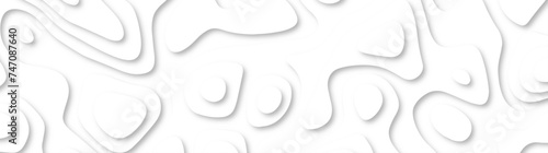 3d render, abstract white paper background. Paper cut vector art background banner texture. multi layer cutout geometric pattern on vector, Abstract soft white background with waves.