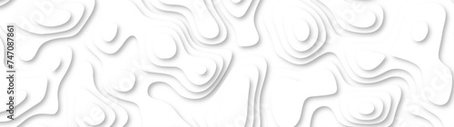 3d render, abstract white paper background. Paper cut vector art background banner texture. multi layer cutout geometric pattern on vector, Abstract soft white background with waves.