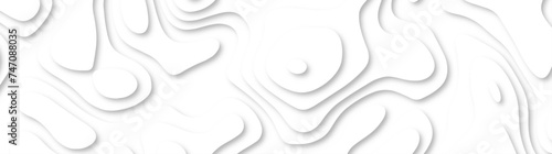3d render, abstract white paper background. Paper cut vector art background banner texture. multi layer cutout geometric pattern on vector, Abstract soft white background with waves.