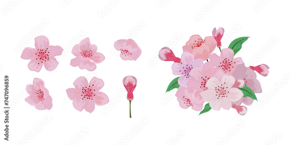 Clip art of cherry blossom