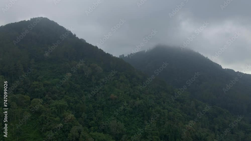 Rainy weather in mountain. Aerial view of Misty morning over forest on the hill slide. Aerial footage of pine forest trees. Rainy weather in mountain. Aerial view of Misty morning over forest on the hill slide. Aerial footage of pine forest trees.