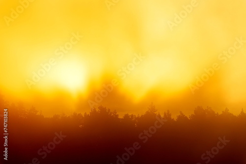 The morning sun breaks through the fog against the background of the forest outline