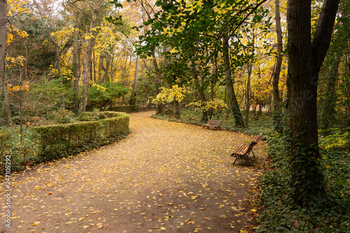 Big garben (Campo grande) in the city of Valladolid in autumn. Castilla y Leon, Spain