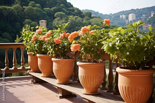 Terracotta Mediterranean Balcony Design  Apartment Style with Flower Pots Galore
