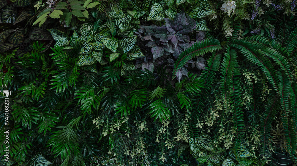custom made wallpaper toronto digitalGroup of dark green tropical leaves background, Nature Lush Foliage Leaf Texture, tropical leaf.