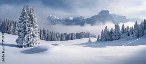 Tranquil Winter Wonderland: Snowy Landscape with Majestic Trees and Mountains