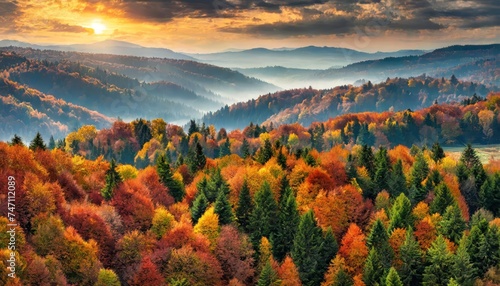 top view, Overhead colorful mixed autumn forest aerial background, made directly from above  photo