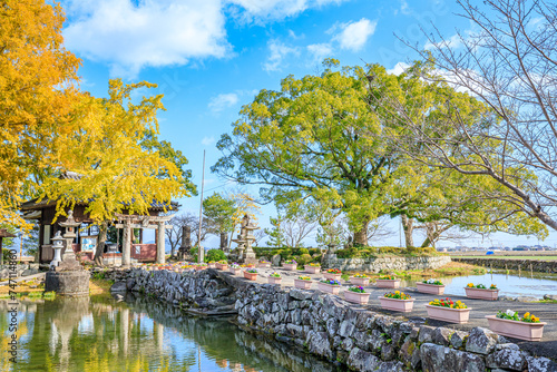 秋の縫ノ池と川津厳島神社　佐賀県白石町　Autumn Nuinoike and Kawazu Itsukushima Shrine. Saga Pref, Shiraishi town. photo