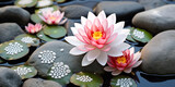 Water lilies in a pond with water droplets.
