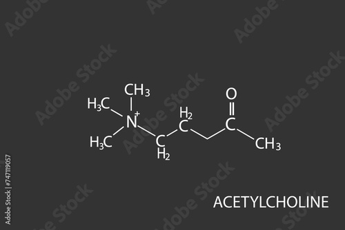 acetylcholine molecular skeletal chemical formula	