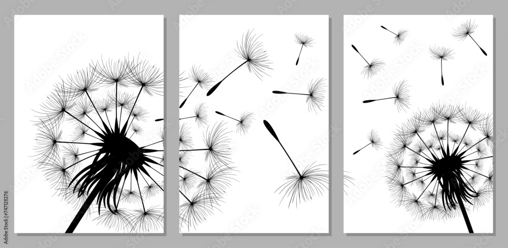 Vector illustration dandelion time. Black Dandelion seeds blowing in the wind. The wind inflates a dandelion isolated on white background. Dandelion flowers are designed in the frame.