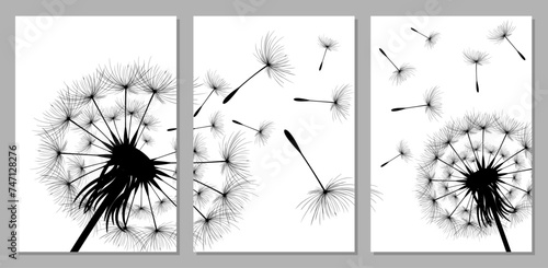 Vector illustration dandelion time. Black Dandelion seeds blowing in the wind. The wind inflates a dandelion isolated on white background. Dandelion flowers are designed in the frame.