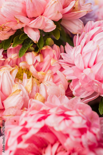 pink flowers in the vase