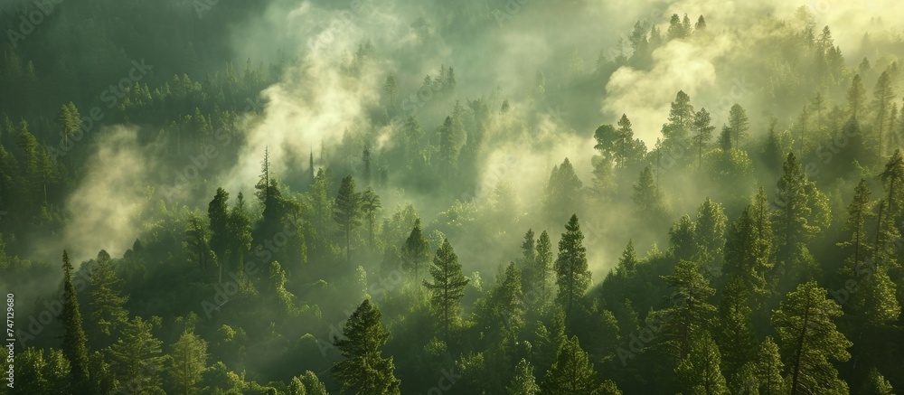 A misty forest with clouds hovering above, emitting smoke from the trees, creating a surreal natural landscape blending sky, water, and terrestrial plants.
