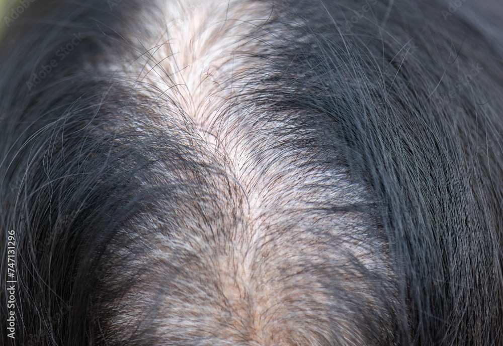 Senior aged asian woman concern about gray hair in menopause.. Senior aged asian woman concern about gray hair in menopause..