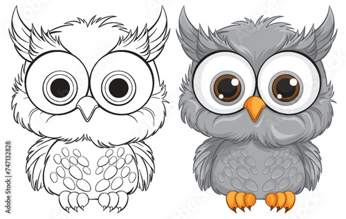 Two stylized owls, one in color and one in grayscale.